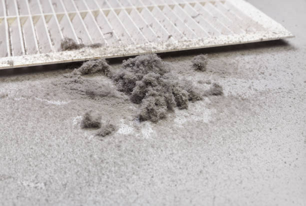 Best Affordable Duct Cleaning Services  in Elizabethville, PA